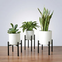 Corner Shelf Plant Stand for Indoor Plants, Modern Minimalist Metal Design, Floor Standing Display Stand, Adjustable Plant Pot Stand Indoor