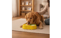 Slow Feeder with Licking Surface Silicone Slow Feeding Bowl Textured Licking Surface Bowl for Cats, Enrichment