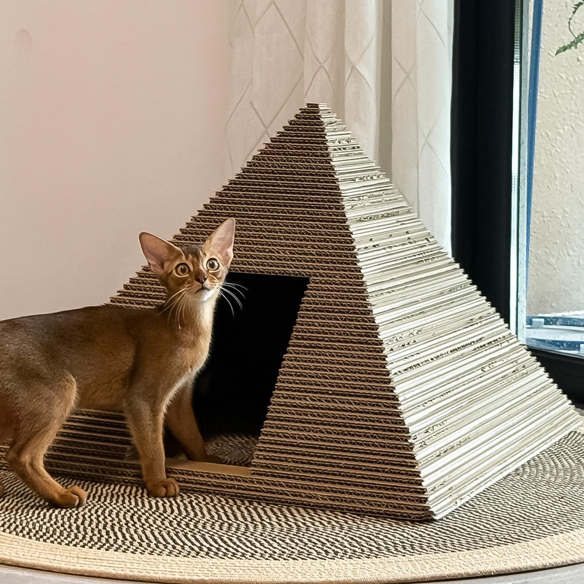 金字塔猫窝立体加高猫抓板一体耐磨不掉屑瓦楞纸防猫抓沙发猫爬架
