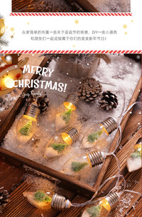 圣诞节许愿瓶圣诞树灯串浪漫发光挂件派对主题家居布置挂饰装饰品 许愿瓶【电池款】2米10灯