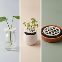 3 Pieces Openwork Propagation Tray Lid Round Propagation Lid Plastic Reusable for Gardeners, Growers, Hydroponics, Windowsill