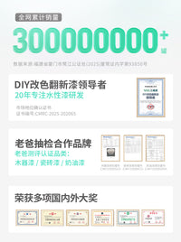 三青漆入户门改色专用漆防盗门补漆铁门油漆翻新门漆自刷换色改造