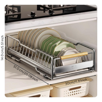 Stainless Steel Pull-Out Dish Rack