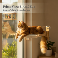 Cat Window Hammock with Suction Cups, Wooden Perch for Sunbathing and Viewing