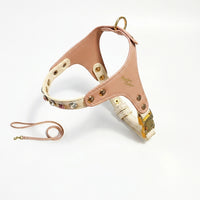 Small Dog Harness and Small Cat Harness Set, PU Leather Walking Harness with Collar, Outdoor Pet Gear Travel Harness Adjustable Loop Leash