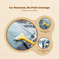 Winter Remover Tool, Heavy Duty, Extended Handle, Car