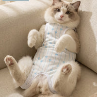 Fitted Female Feline Recovery Suit Blue Post-Surgery Feline Suit Heart Print White Trim