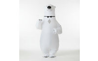 Character Inflatable Costume