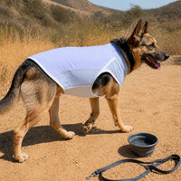 Pet Cooling Vest for Dogs, Breathable Sun Protection Summer Shirt for Small to Large Breeds