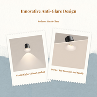 Adjustable anti-glare LED light