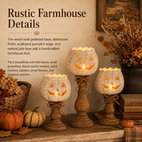 Vintage Pumpkin Candle Holder Set of 3 for Fall Decor