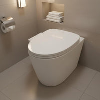 Adjustable Temperature Electric Bidet Seat Self-Cleaning Nozzle Warm Water Bidet Seat Posterior Cleansing Bathroom Fixture