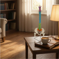 Human Skeleton Model Demonstration Skeleton Model with Stand Educational for Medical Students, Teachers, Classroom, Scientific Workspace, Office