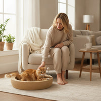 Scratch-Resistant Cat Scratching Bed Low-Shedding Cat Scratcher Bed Hard-Wearing Sturdy for Kittens, Living Room
