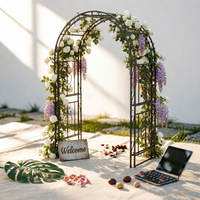 Iron Garden Arch Rust Resistant Outdoor Structure Powder Coated for Park