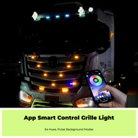 APP RGB car grille light