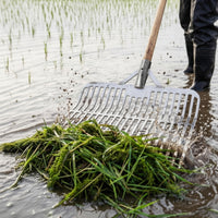 Paddy Field Vegetation Fork Wide Metal Head Agricultural Implement Reinforced for Wet Fields, Muddy Ground