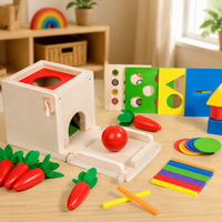 Wooden Activity Box, Fine Motor Skill Toys, Child Development, Hand-Eye Coordination, Educational Toy
