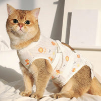 Cat Neutering Suit, Breathable Post Surgery Clothing with Tie Closure, Four-Leg Anti-Lick Design, Full Body Recovery Wear After Surgery