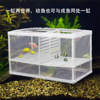 鱼缸孵化盒/隔离网 新生鱼苗小鱼隔离盒水族箱鱼缸