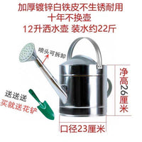 Thickened Iron Sheet Watering Can with Sprayer