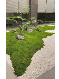 Simulated PU Hollow Stone for Photography and Garden Decor