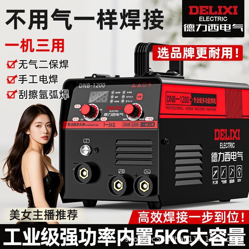 Delixi Industrial 5KG MIG Welder and Arc Welder Combo Home 220V Gasless Automatic Wire Feed Argon Arc Welding