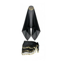 4 Pieces Sequin Details Fortune Teller Costume Kit Performance Wear Romani-Inspired Costume Accessories Lightweight Chiffon Coin Hip Scarf and Veil Set for Dancers, Women, Themed Party, Halloween, Cosplay
