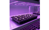 Tray With Drainage Holes cells Plug Tray Reusable Starter for Growers