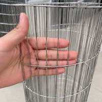 Galvanized Wire Net Fence, 10cm Mesh, 1m Length, Wire Mesh, Animal Enclosure, Garden, For Home Vegetable Garden