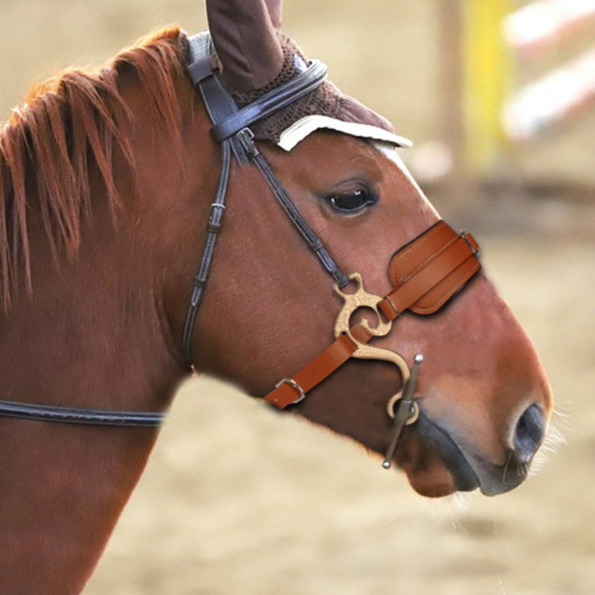 Bridle with Padded Noseband Heavy-Duty Training Bridle Stainless Steel Tack for Horse Trainers, Riding, Groundworking