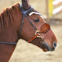Bridle with Padded Noseband Heavy-Duty Training Bridle Stainless Steel Tack for Horse Trainers, Riding, Groundworking