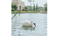 Realistic Floating Swan Lifelike Swan Decoy Weatherproof Pond Decoration Sturdy for Gardeners, Patio