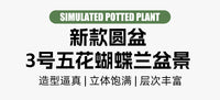 仿真5朵蝴蝶兰盆栽假花仿真花居家办公装饰场景布置摄影绿植道具