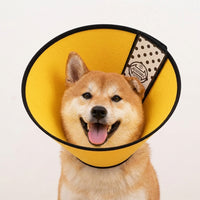 Post Surgery Cone for Pet Recovery, Transparent Anti-Bite Guard with Colored Edge, Snap Button Cone Recovery to Prevent Biting for Dogs and Cats