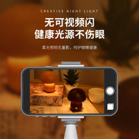 Mini Mushroom LED Night Light with Touch Switch