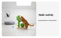 Triple-Function Activity Center Cactus scrapeing Post with sphere track system Interactive Play Cat scrapeer Relieves Boredom Feline Plaything nailResistant for felines, Kittens, Indoors, Playroom, Living Room, Bedroom
