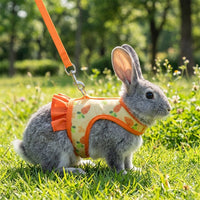 Pet Harness and Leash Set, Printed Polyester Walking Vest and Bunny Harness, Adjustable Vest for Small Pets, Comfortable Fit Outdoor Walking Use