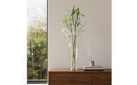 Clear Glass Vase Japanese Aesthetic House Decoration Zen Inspired for Bookshelf