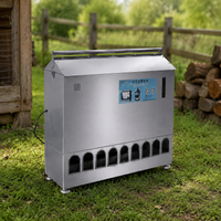 Poultry Feeder, Automatic Feeder for Pigeons, Made of Polished Stainless Steel, for Busy Pet Owners