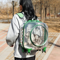 Transparent Pet Carrier Backpack