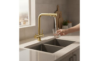 Three-Function Kitchen Tap 3-in-Sink Faucet with Water Strainer Flexible Faucet with Pull-out Spray for Renovators