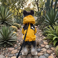 Warm Dog Jacket and Cat Jacket with Zipper, Polyester Outdoor Dog Coat and Cat Coat, Full Underbelly Coverage Casual Design