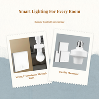 E27 Remote Light Holder: Dimmable