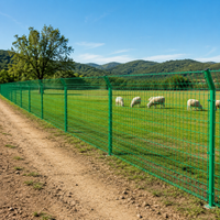 Double Wire Mesh 4.5mm Galvanized Low Carbon Steel Fence 3m Green Highway Falling Object Prevention Fence