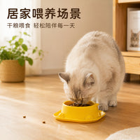 宠物碗猫碗狗碗塑料喂食碗猫脸造型单碗家用猫咪食盆狗狗水碗批发