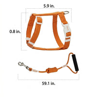 Kitten Harness and Cat Leash Set, Adjustable Polyester H-Style Travel Harness with 150cm Kitten Leash, Buckle Closure for Outdoor Pet Walking