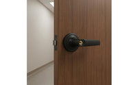 Keyed Entry Door Lever Zinc Alloy Lever-Style Door Lock Matte Finish