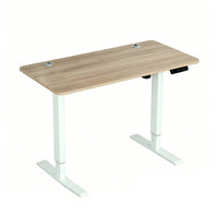Electric Standing Desk Rectangular Tabletop Height Adjustable Desk Flat Desktop