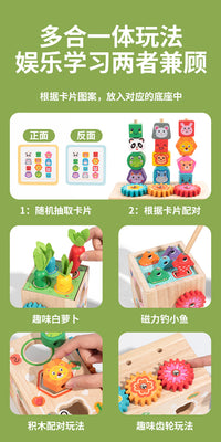 Wooden Animal Shape Sorting Toy with Fruit Matching and Fishing Game